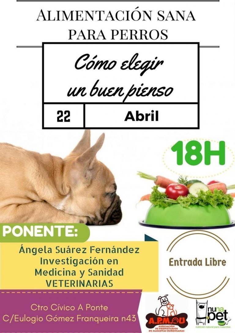 Cartel Cómo elegir un buen pienso