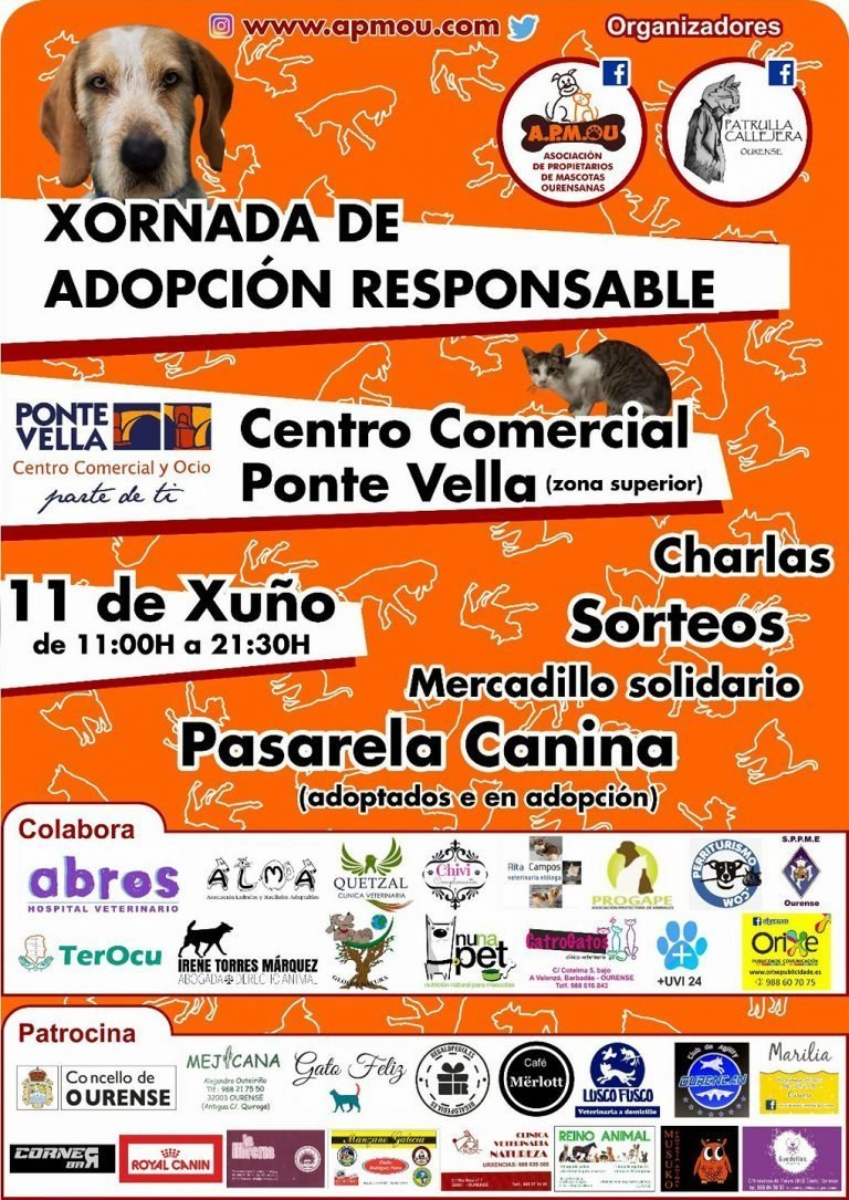 Cartel I Jornada de Adopción Responsable