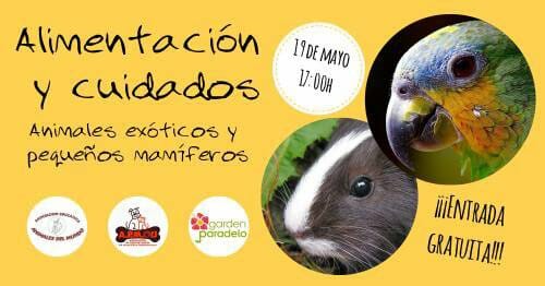 Alimentación y Cuidados de Animales Exóticos